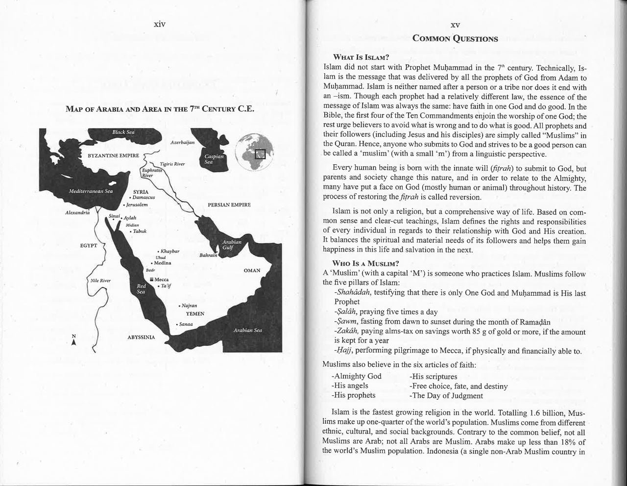 The Clear Quran - English Translation Only