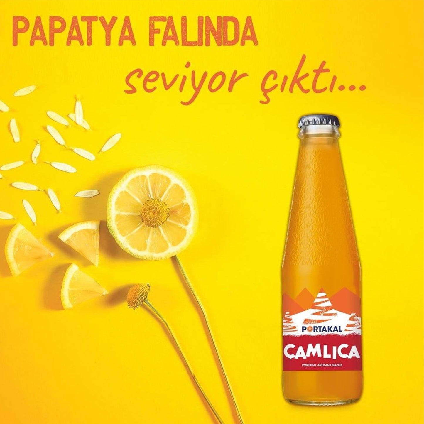 Camlica Soda Orange 6*200Ml