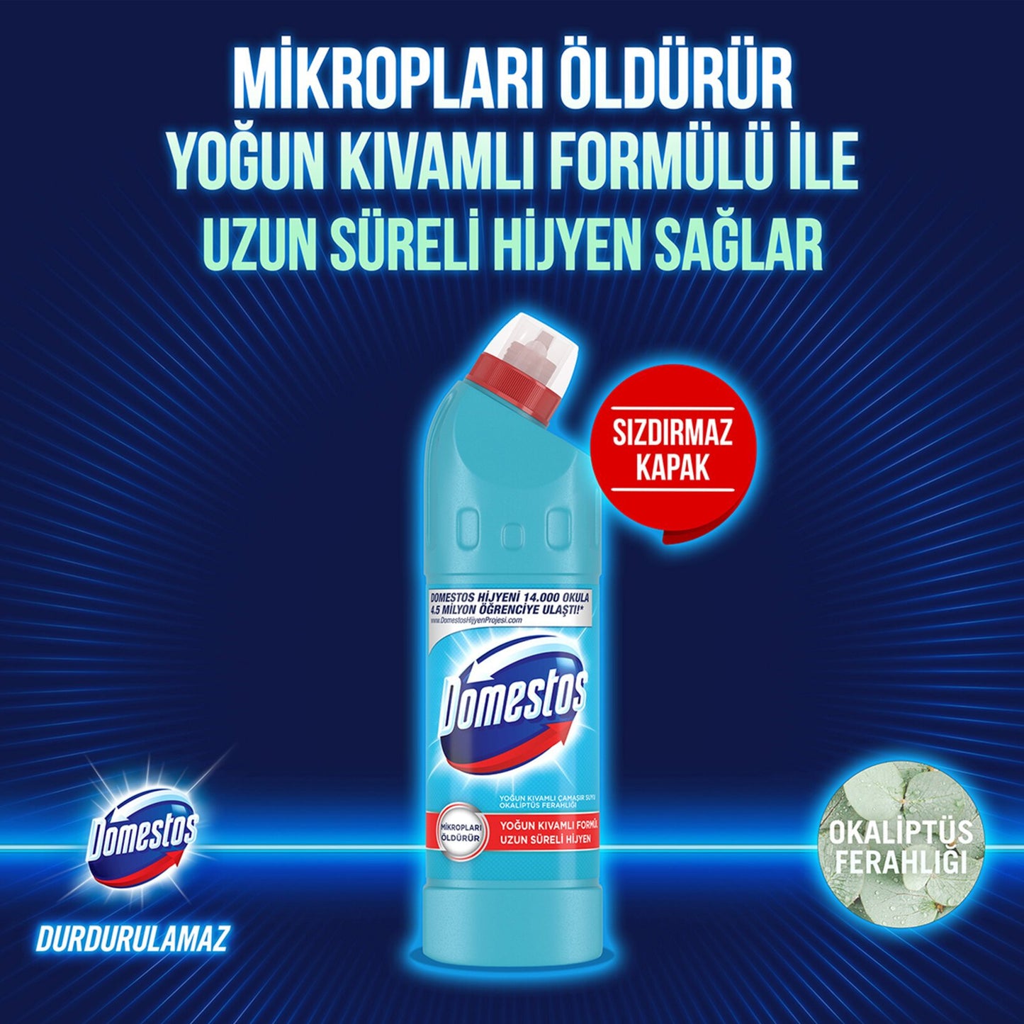 Domestos Bleach Eucalyptus 750