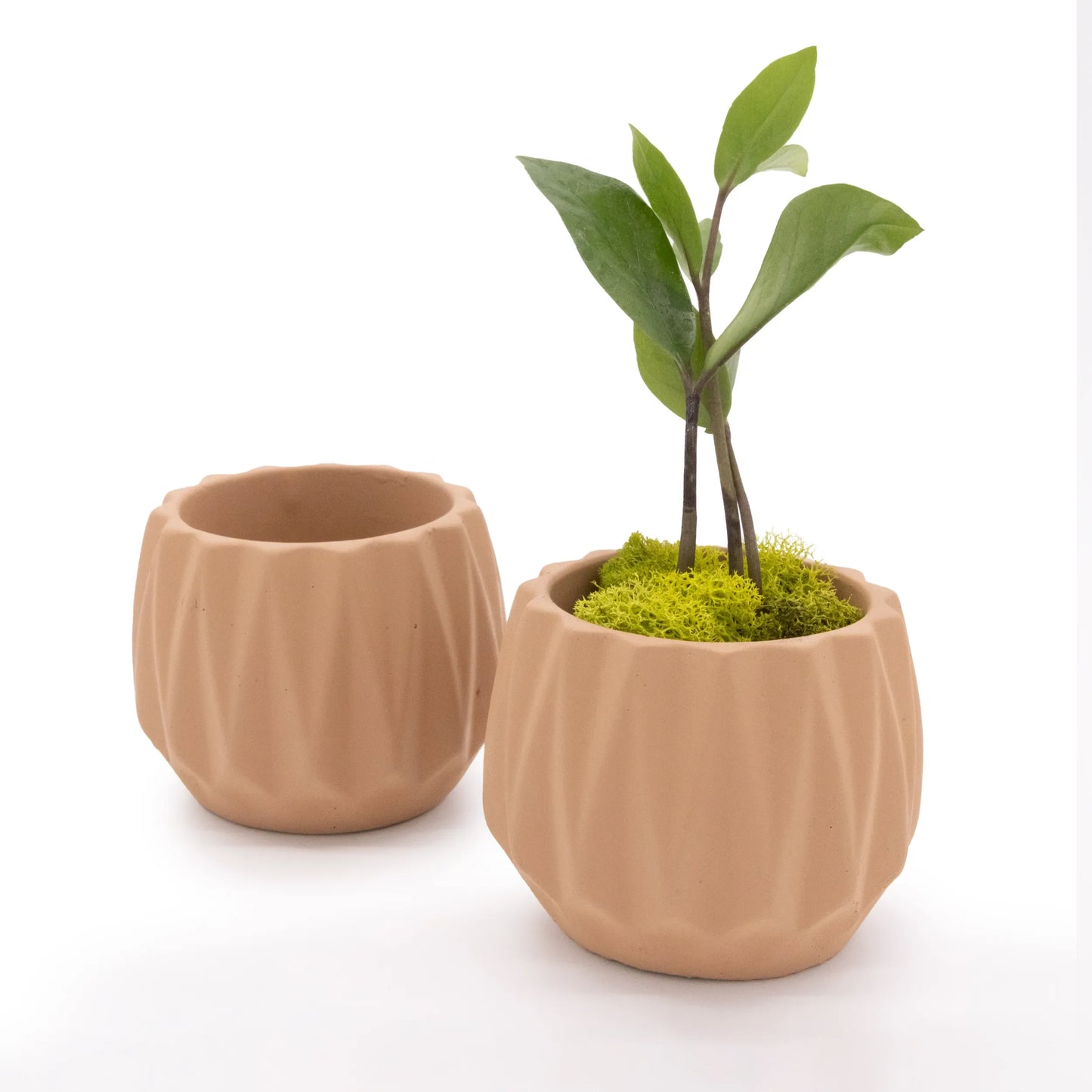 Concrete Mini Flute Tabletop Planters (Set of 2)