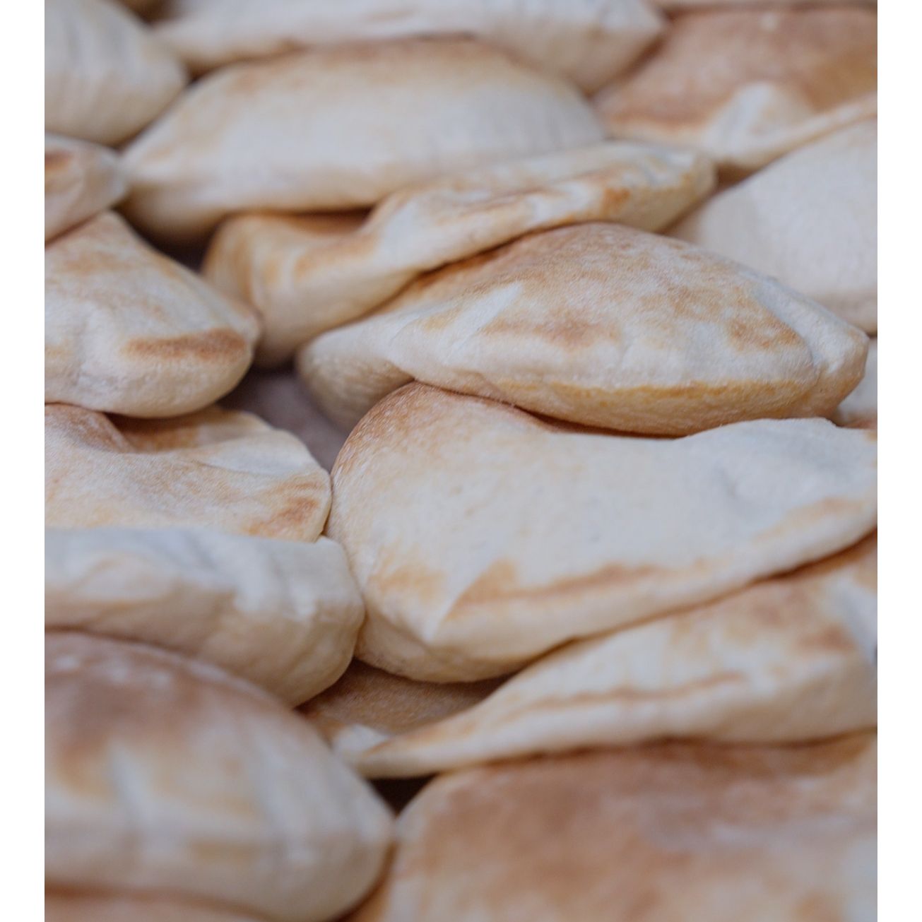 Albasha Fresh Baked Pita Bread - 10 Pieces of Soft, Chewy,