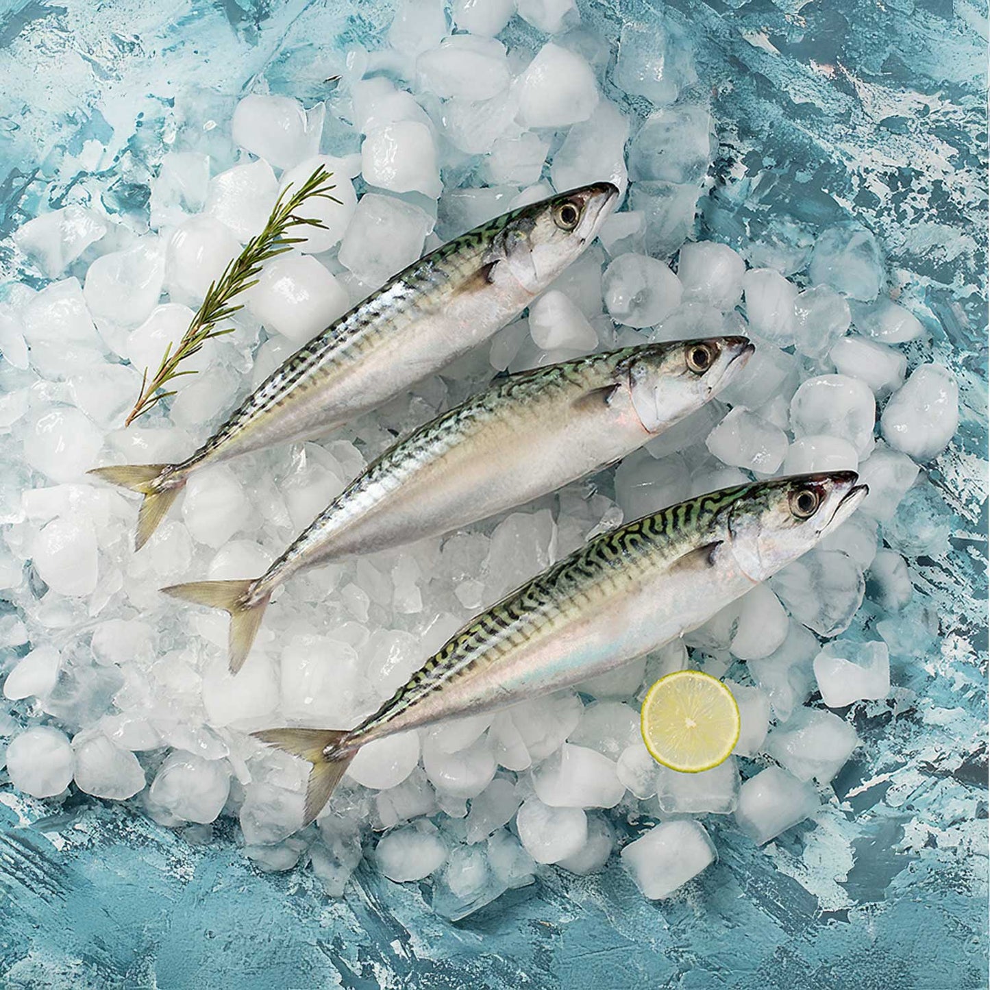 Moda Frozen Mackerel, Fillet (Uskumru Fileto), 16oz (454g)