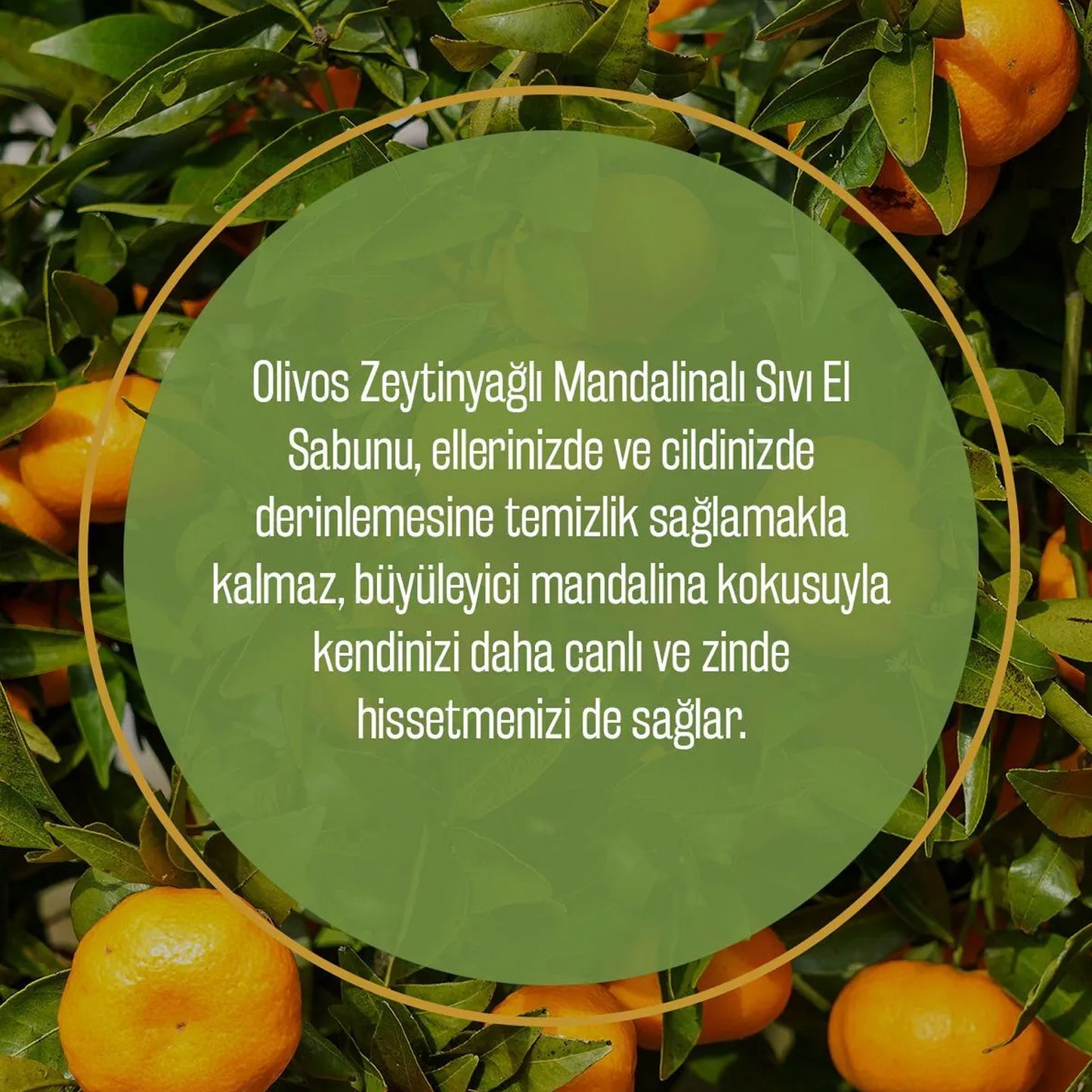 Olivos Mandarin Liquid Soap 450Ml