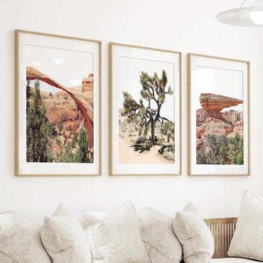 ABD Çöl Duvar Sanatı. Arches Ulusal Parkı, Kayalık, Joshua Tree