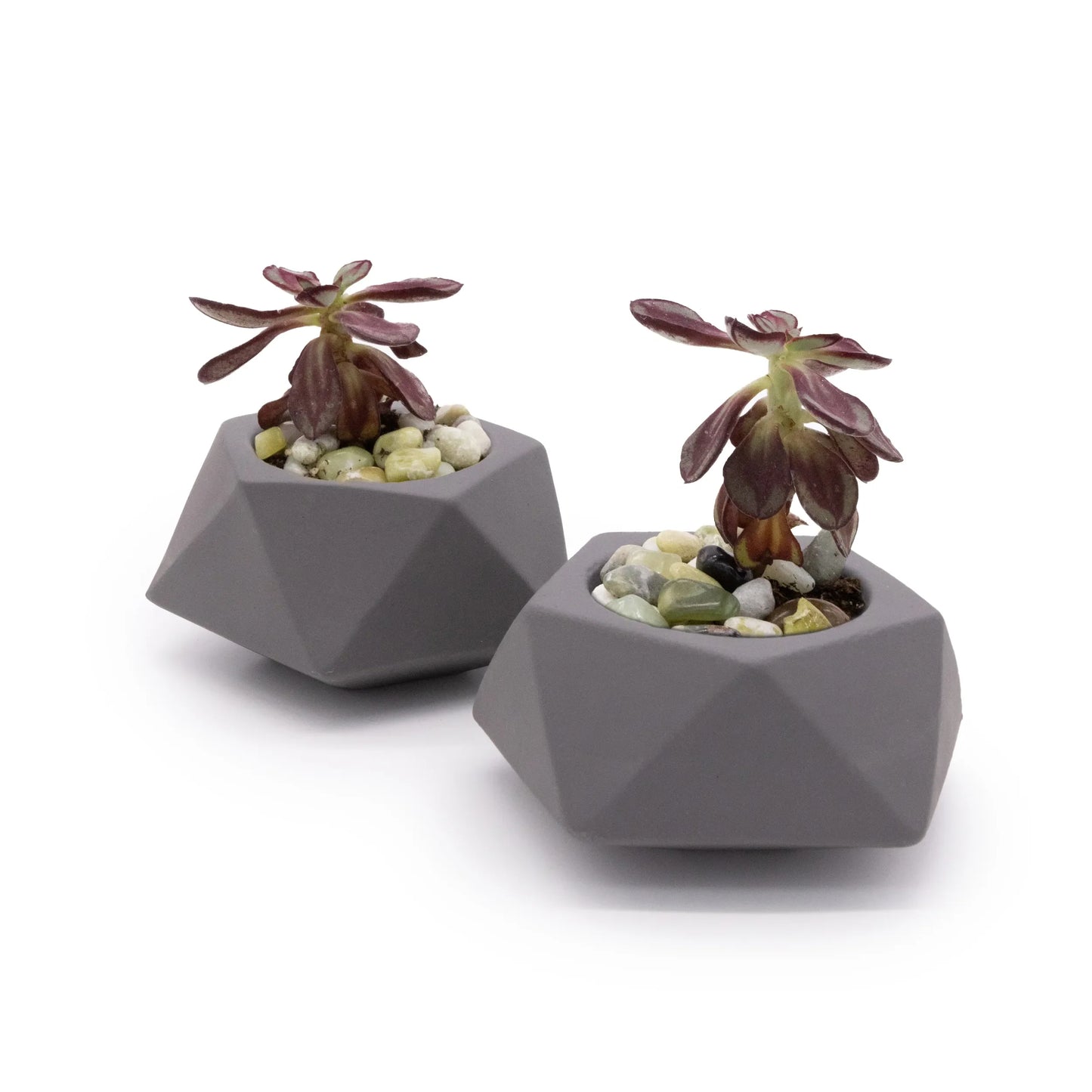 Concrete Mini Tilt Tabletop Planters (Set of 2)