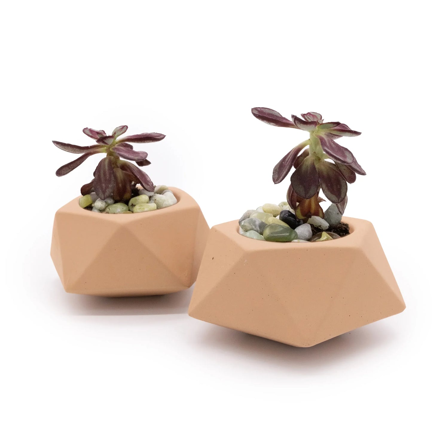 Concrete Mini Tilt Tabletop Planters (Set of 2)