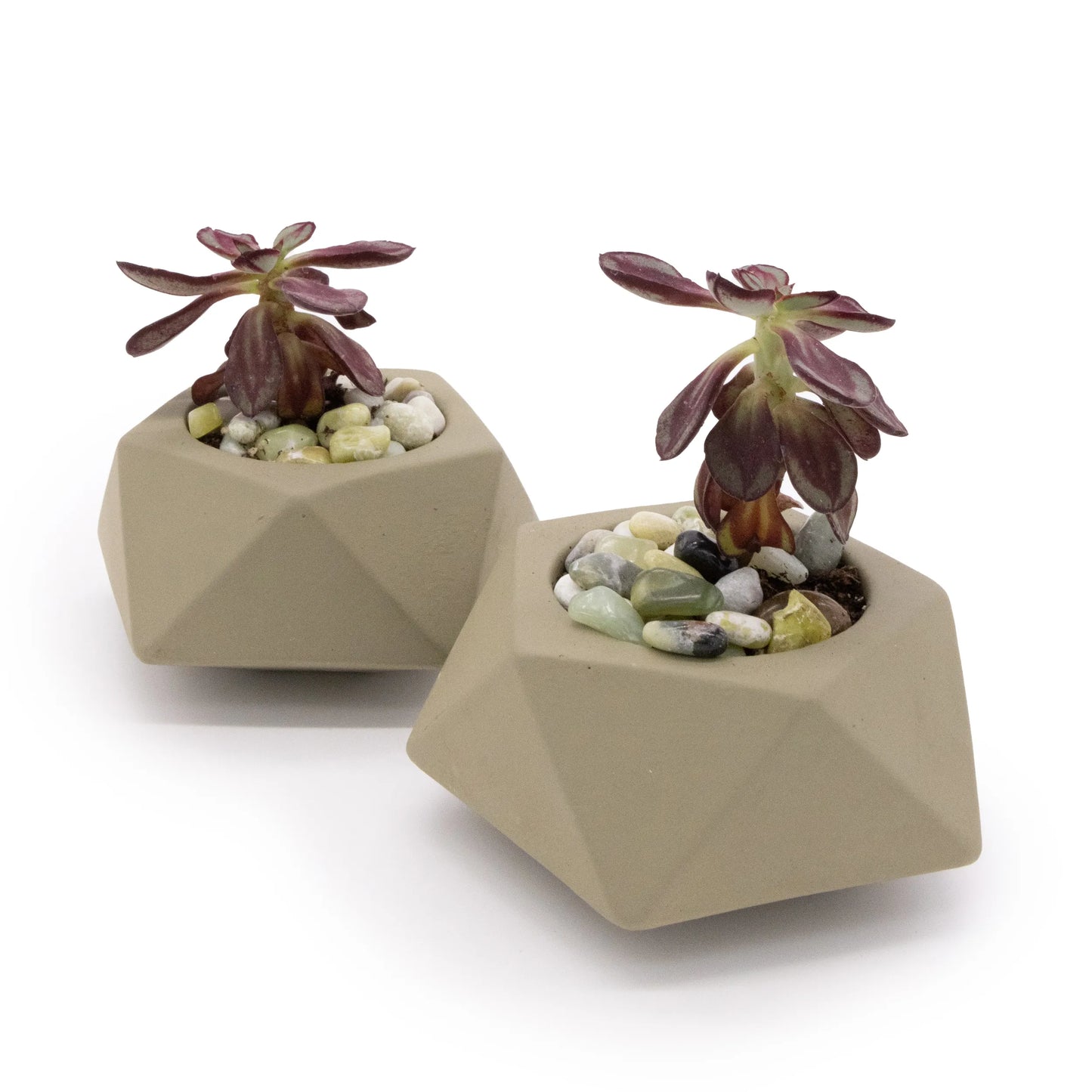 Concrete Mini Tilt Tabletop Planters (Set of 2)