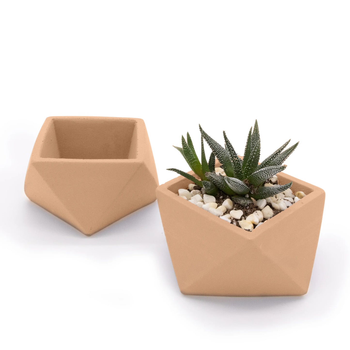 Concrete Mini Wedge Tabletop Planters (Set of 2)