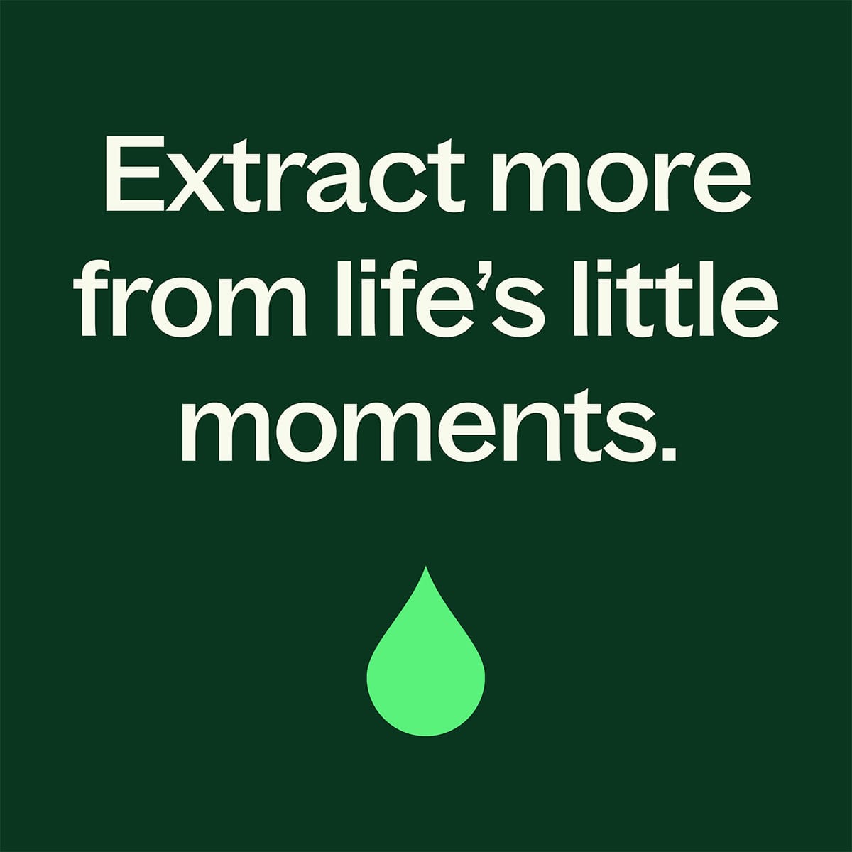 Woodland Retreat™ Essential Oil Blend