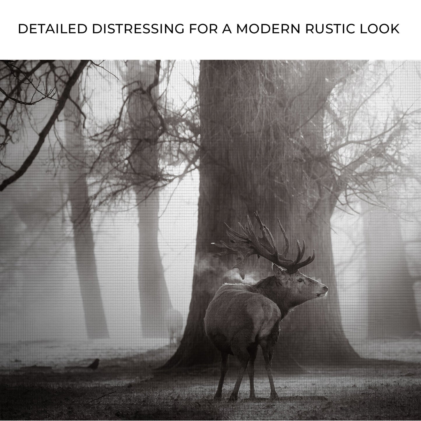 Monochrome Deer Canvas Wall Art