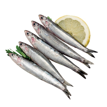 Moda Frozen Anchovy (Temizlenmis Hamsi), Wild Caught, Gutted, 14.1oz (400g)