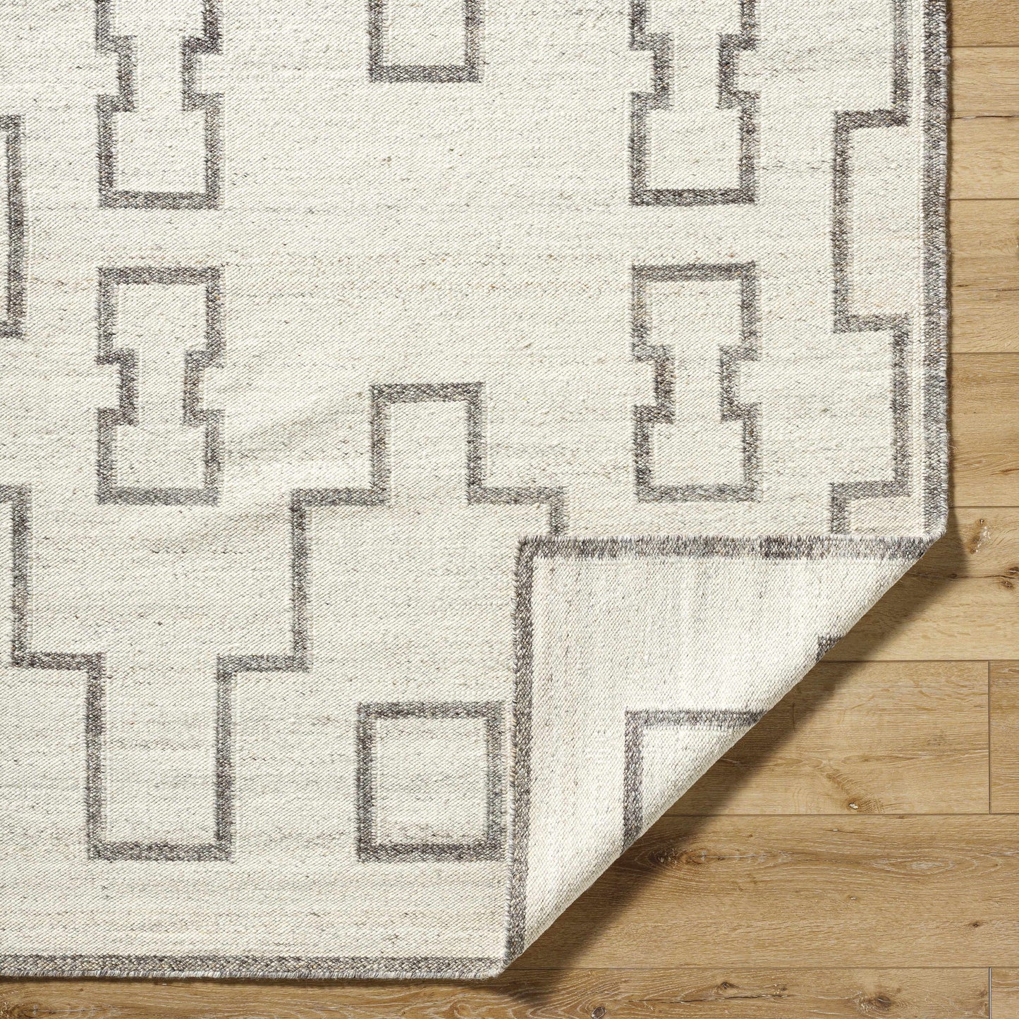 Vanig Area Rug
