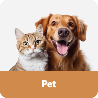 Pet