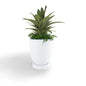 Terra Lightweight Planter Fiber Series