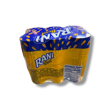 Rani Float Mango - Refreshing Real Mango Juice Drink with Real Mango Pieces - 6 Pack (240ml Each)
