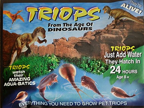 Grow Your Own Triops - A Living Dinosaur