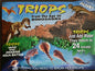 Grow Your Own Triops - A Living Dinosaur
