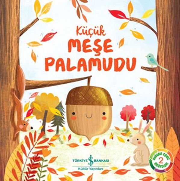 Küçük Meşe Palamudu/ Doğanın Eşsiz Hikayeleri 2
