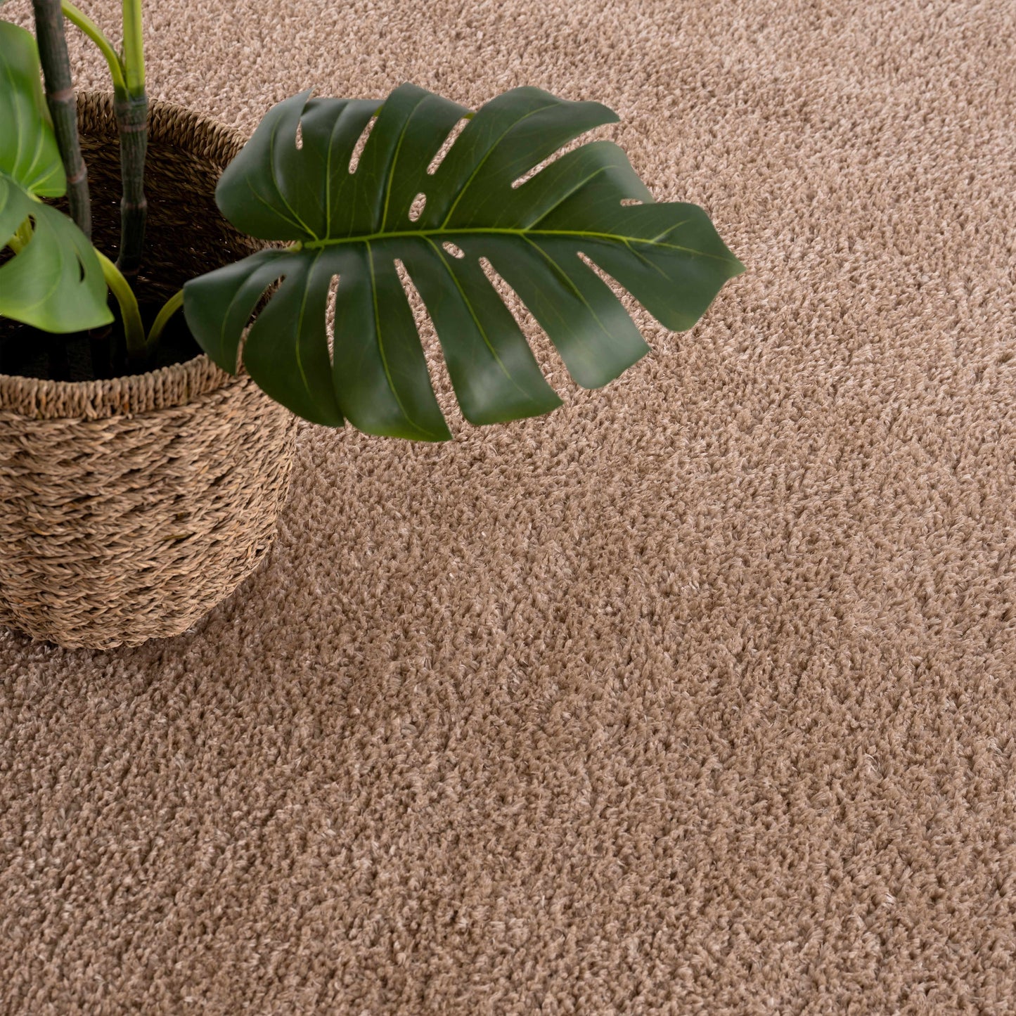 Judy Brown  - Promo Washable Area Rug