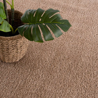Judy Brown  - Promo Washable Area Rug
