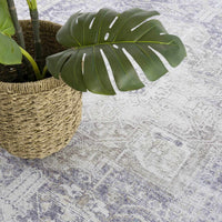 Olive Rosman  Area Rug - Clearance
