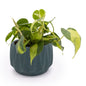 Flute 6" Tabletop Planter