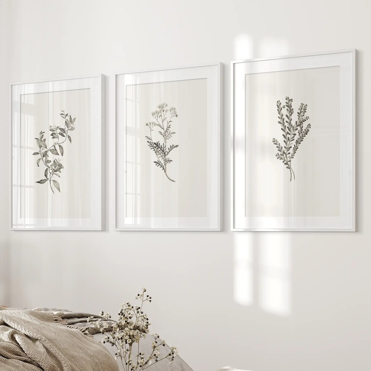 Vintage Home Decor. Botanical Wall Art Set by Sydney Parkinson