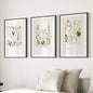 Watercolor Set of 3. Colorful Wildflower Prints