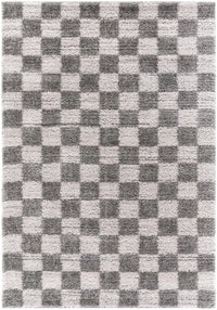 Belita Charcoal Luxe Shag Area Rug