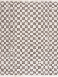 Kieu Taupe Checkered Plush Rug