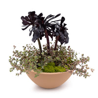 Concrete Basin Tabletop Planter