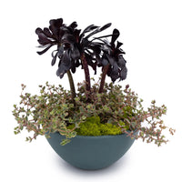 Concrete Basin Tabletop Planter