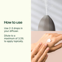 Basil Linalool Essential Oil