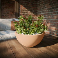Concrete Basin Tabletop Planter