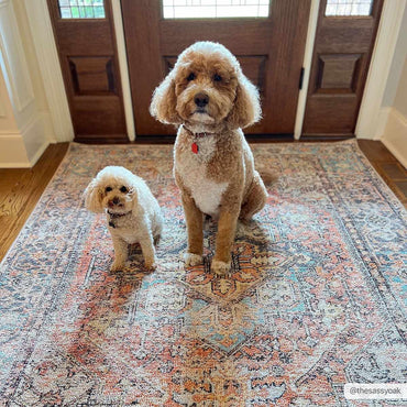 Beck Non-Slip Washable Rug - Promo
