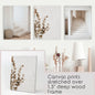 3 Piece Boho Architectural Wall Art. Eucalyptus, Stairway