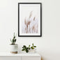 Beige Dried Grass Print. Summer Field