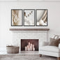 3 Pieces Neutral Boho Wall Art. Terracotta Vase and Stairs