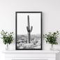 Saguaro Cactus Print. Black White Arizona Desert Nature