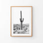 Saguaro Cactus Print. Black White Arizona Desert Nature