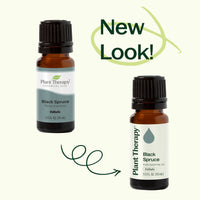 Black Spruce Essential Oil