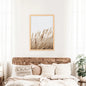 Bohemian Pampas Grass Print. Nature Inspired Theme