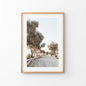 Modern Coastal Neutral Tones Photo. Trees Wall Art