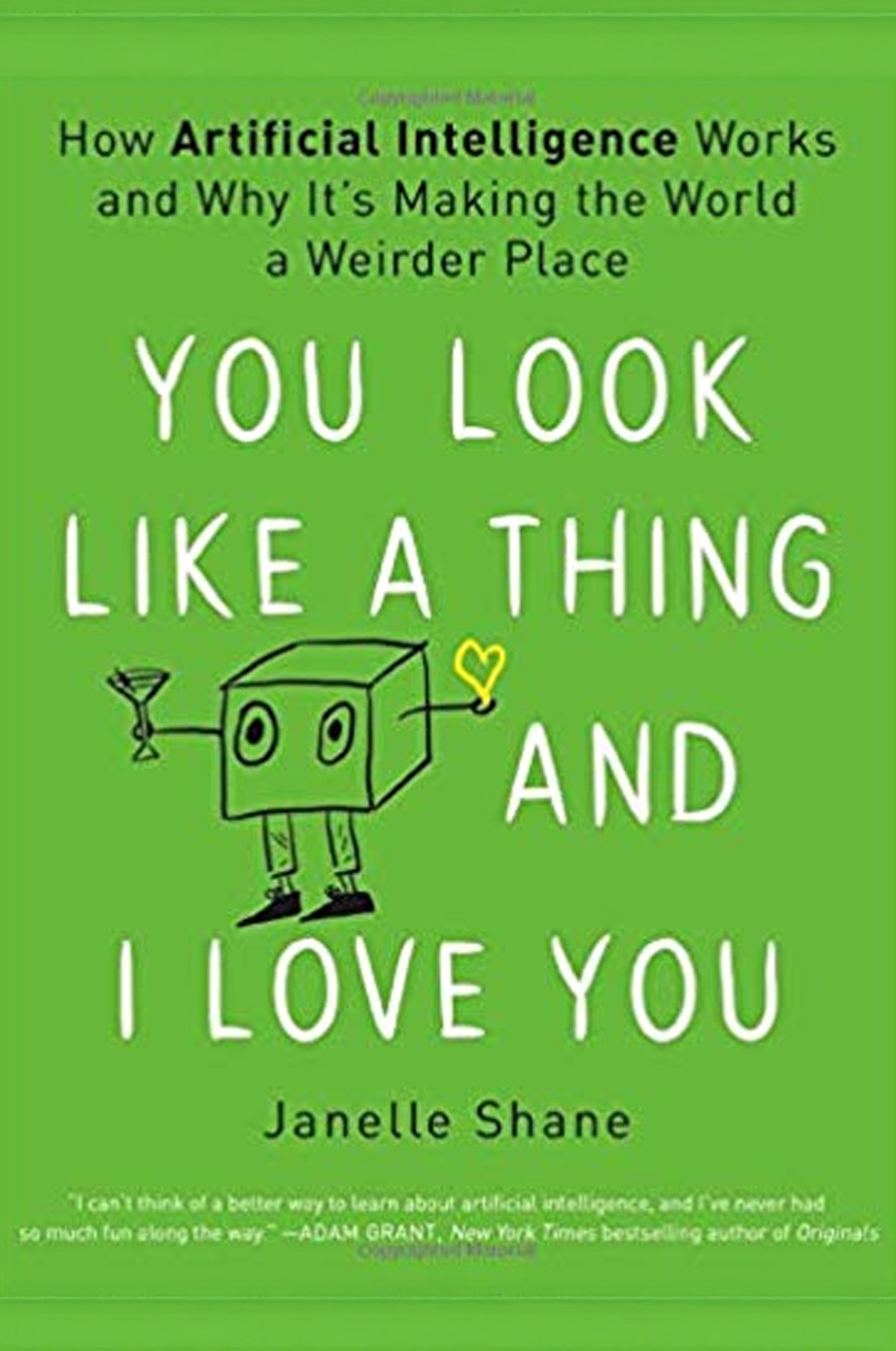 You Look Like a Thing and I Love You: How Artificial Intelligence Works and Why It's Making the World a Weirder Place