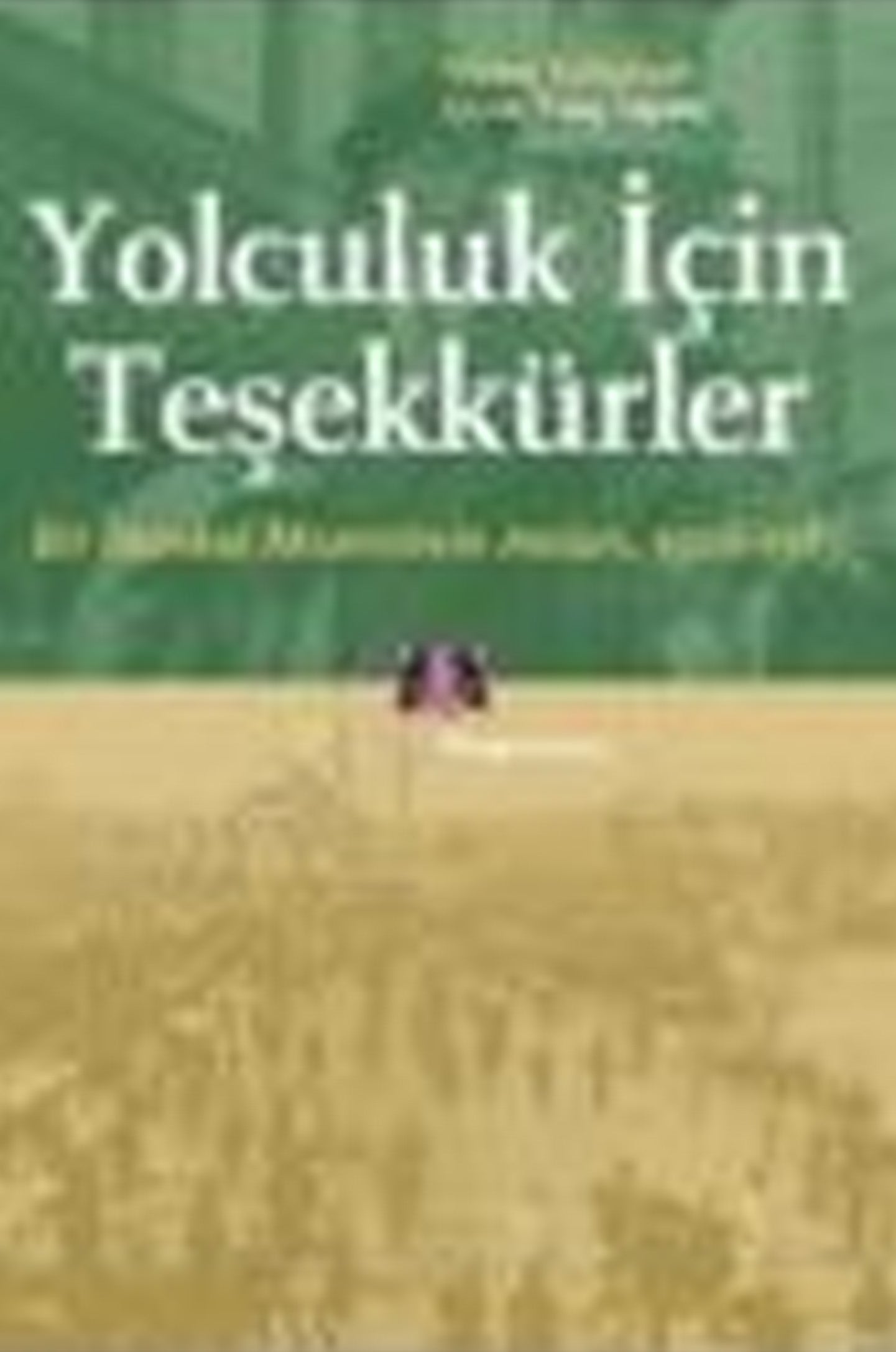YOLCULUK iCiN TESEKKURLER