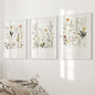 Watercolor Set of 3. Colorful Wildflower Prints