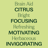 Brain Aid Essential Oil Blend