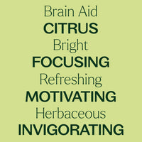 Brain Aid Essential Oil Blend Pre-Diluted Roll-On