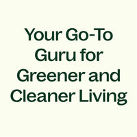 Camellia Seed Carrier Oil