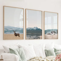 Set of 3 US Nature Photography. Colorado Travel Wall Art